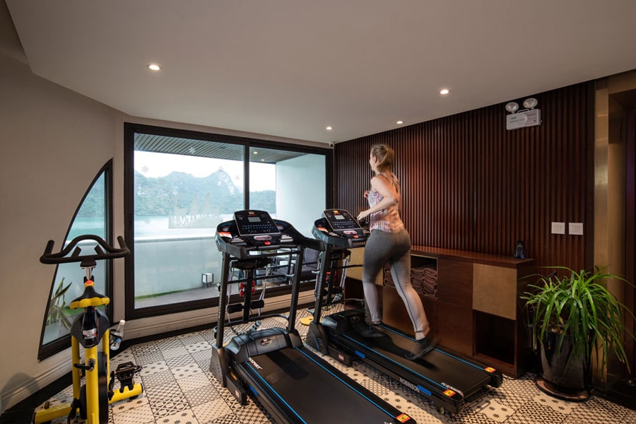 fitness area on Stellar Of the Seas