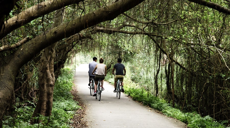 cycling around viet hai village