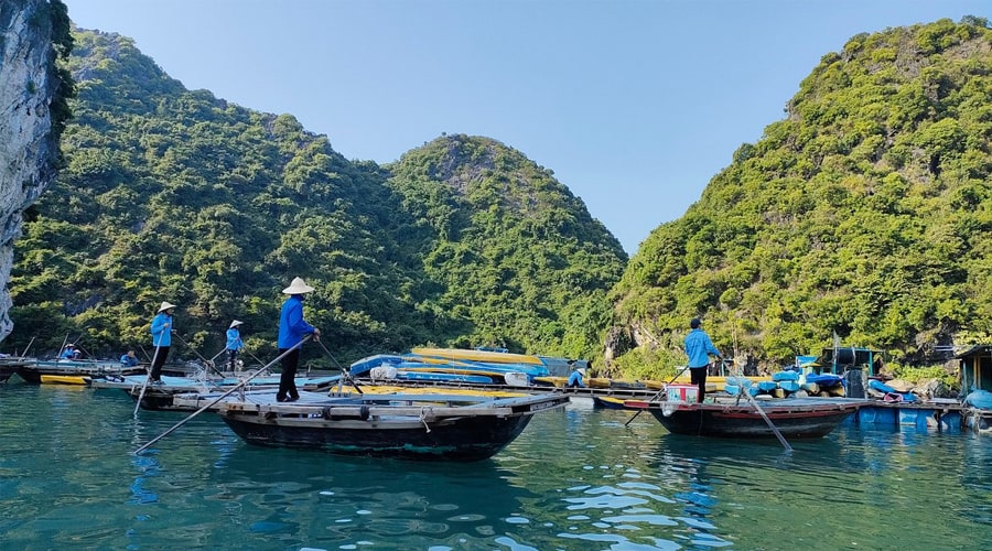 bamboo boat in Halong Bay