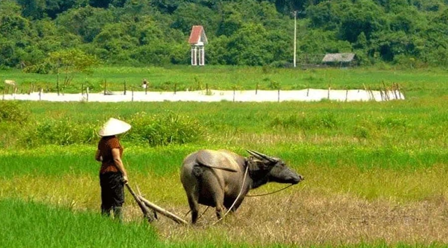 local people in Viet Hai village