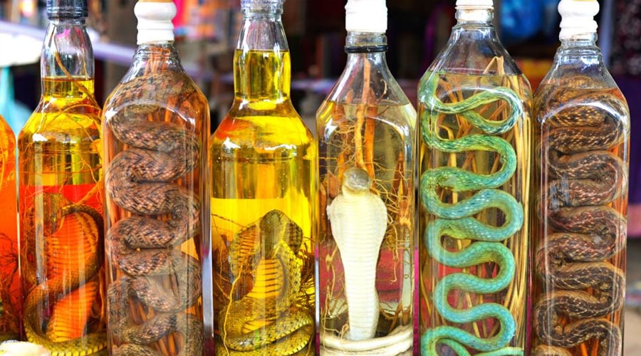 snake wine in Viet Hai village