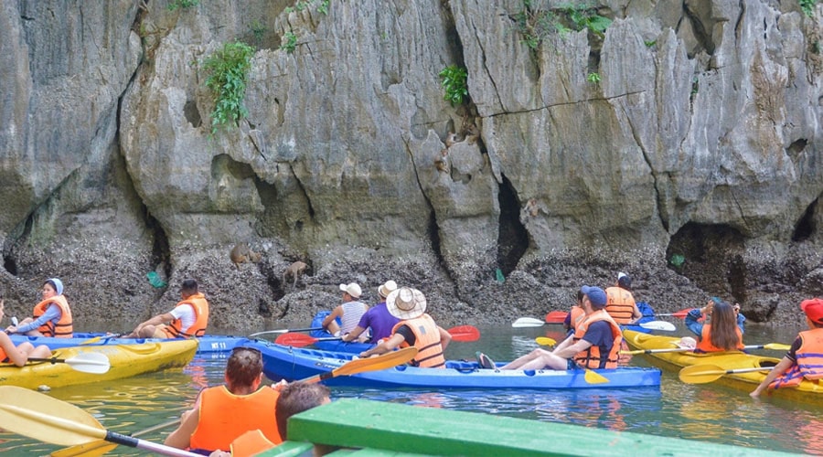 Monkeys appearing on the limestone cliffs inside the cave