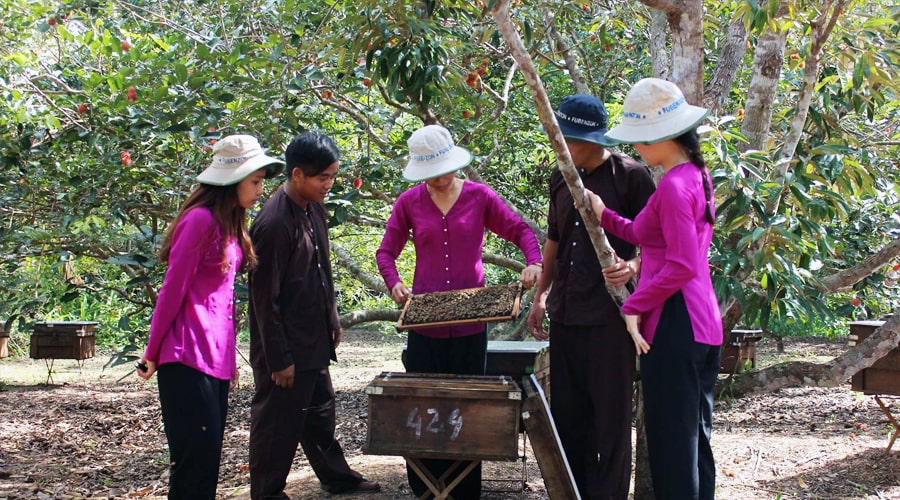 Bee farm Phu Quoc