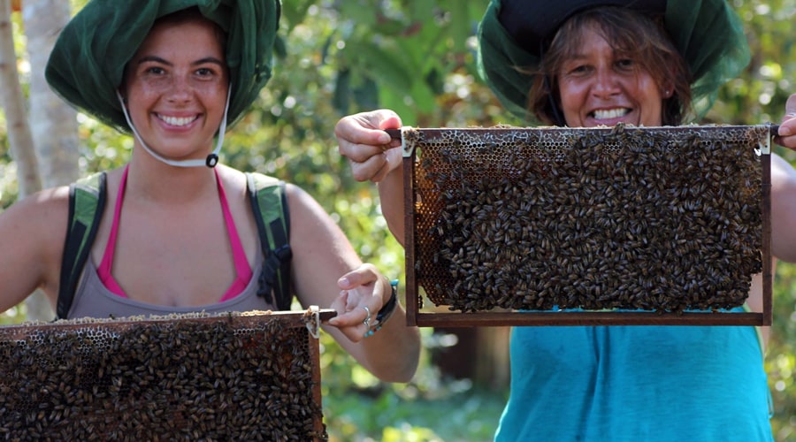 bee farm Phu Quoc island