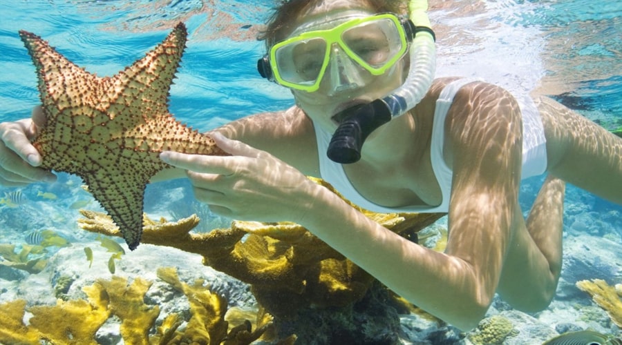 Snorkeling in Phu Quoc