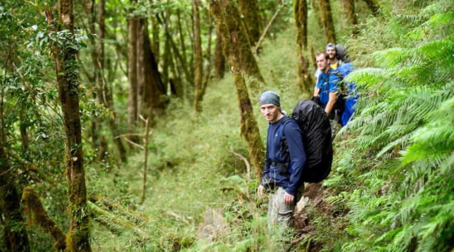 Trekking Phu Quoc national park